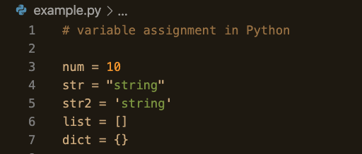 Variable Assignment Python